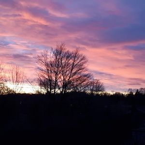 Meet your Posher, Terry